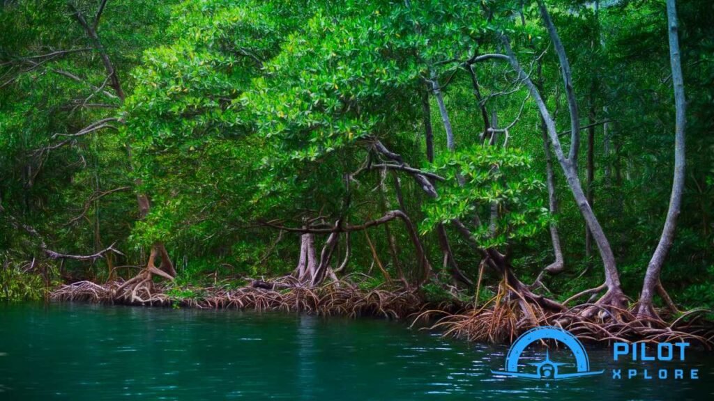 Exploring the Wonders of Los Haitises National Par