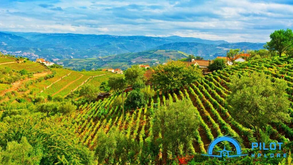 Why Portugal in May is the Ideal Destination: Perfect Weather and Uncrowded Charm