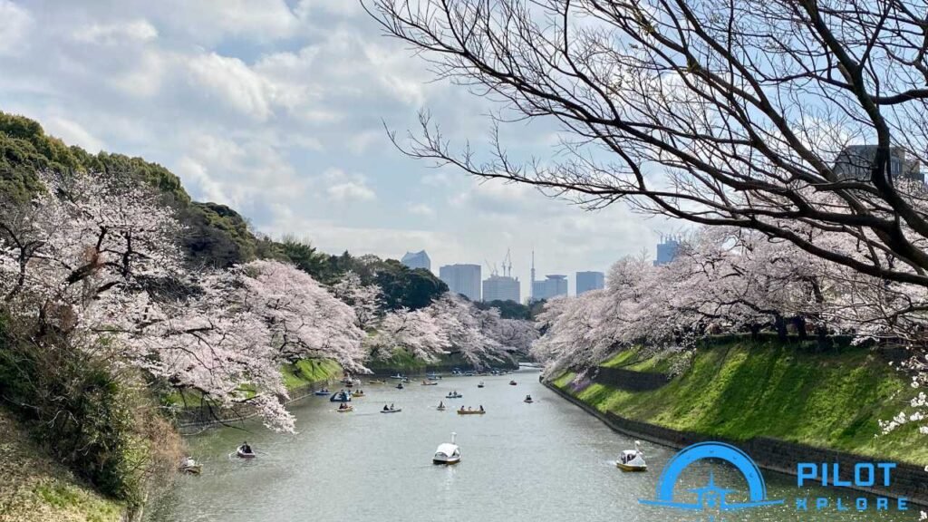 Tranquil Travels in Japan: Mild May and Post-Cherry Blossom Peace