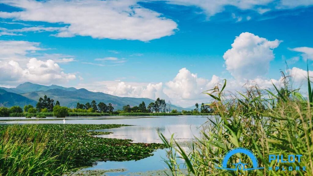 Brazil in Balance: Sunny Cities and Lush Wetlands in May